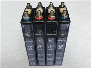 GNC20-（6）